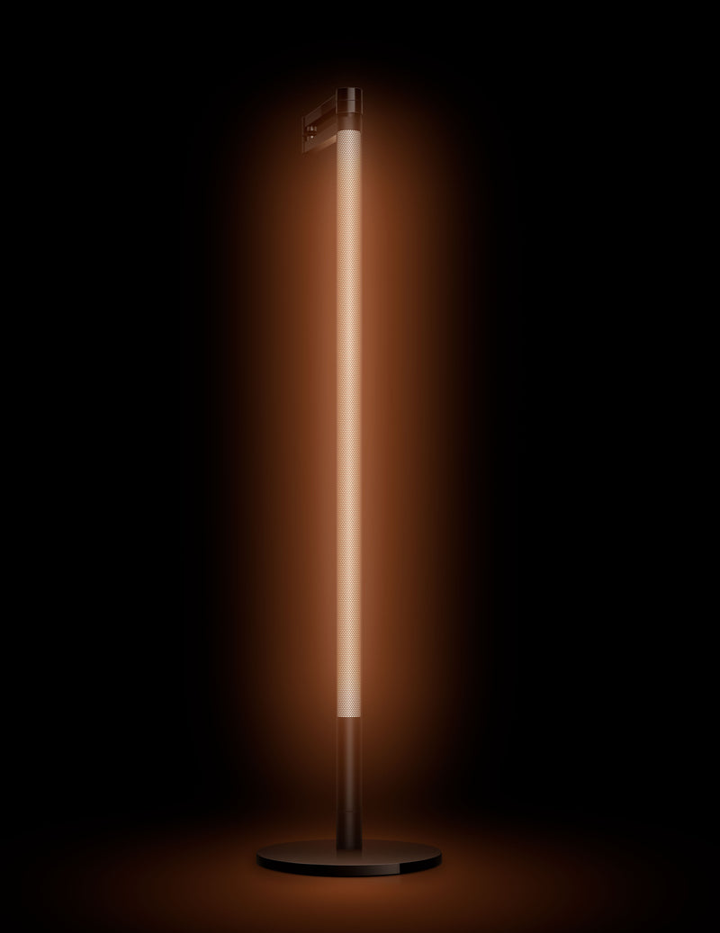 Dyson Lightcycle Morph™ Floor Light CF06 (Black)